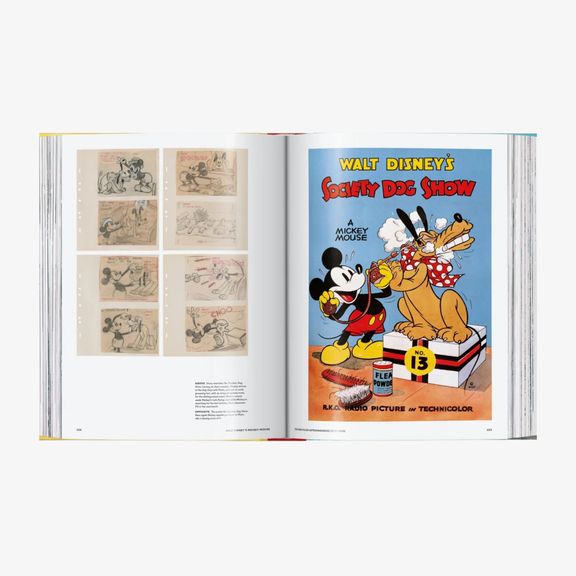 Walt Disney's Mickey Mouse: The Ultimate History