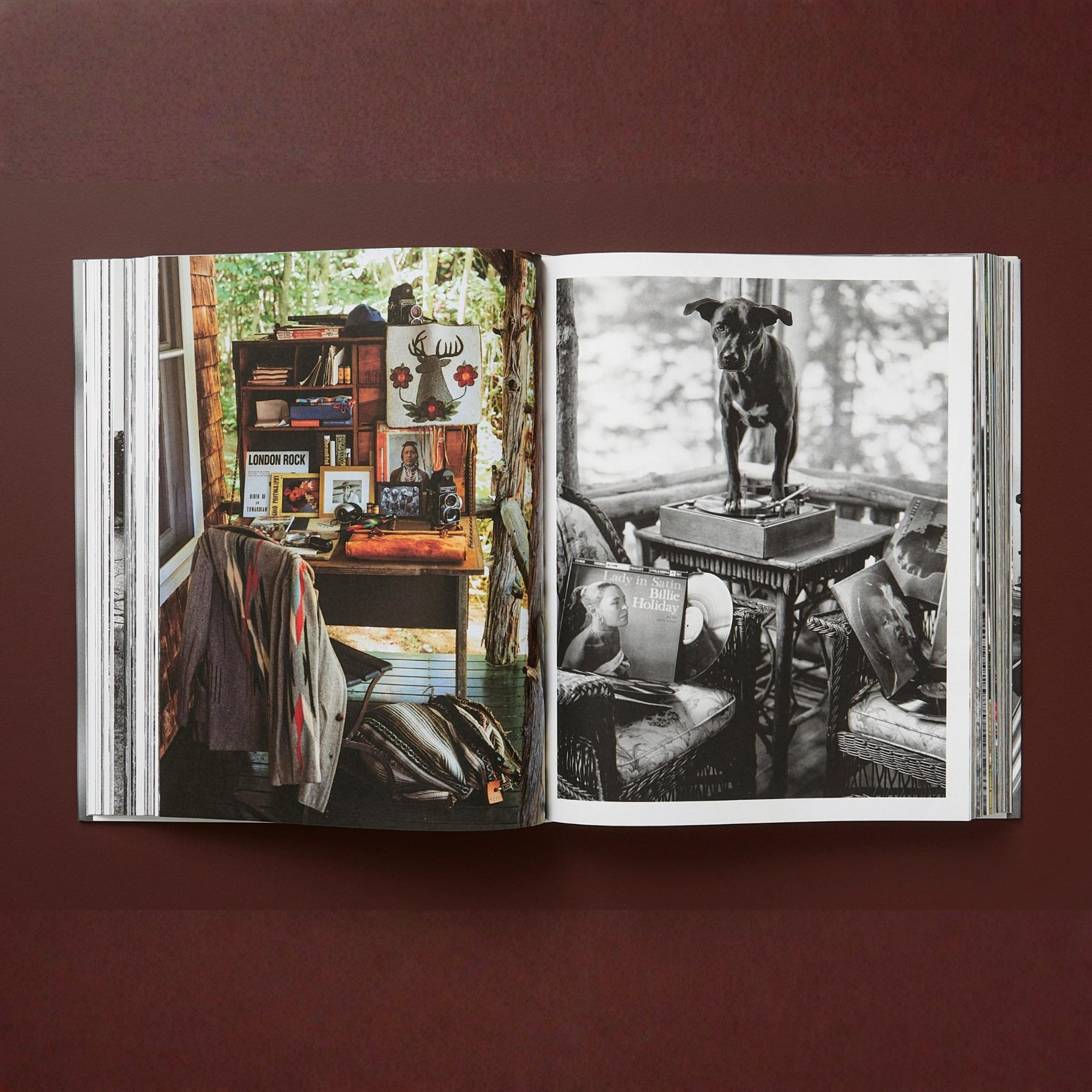Bruce Weber: The Golden Retriever Photographic Society