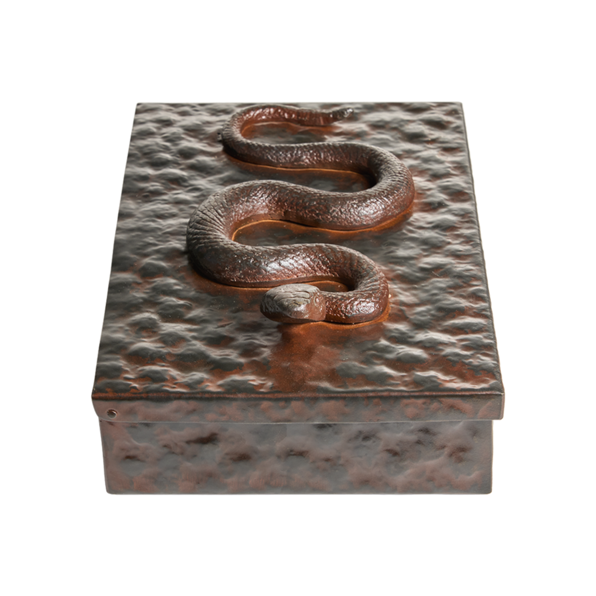 Nagini Box