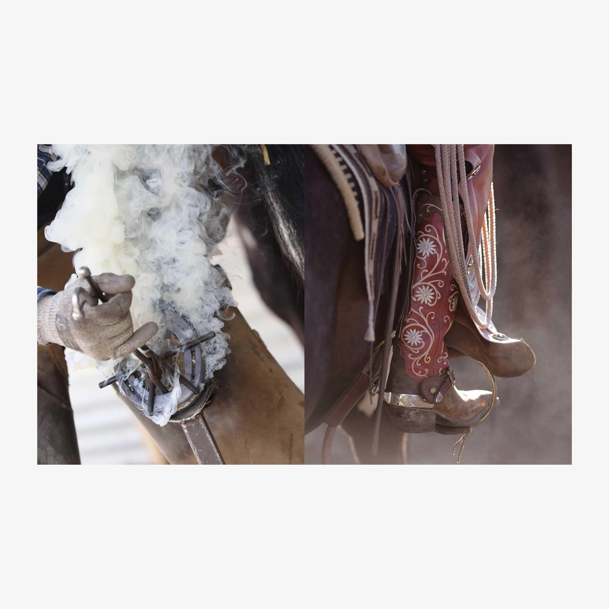 Horse Country, with a Foreword by India Hicks