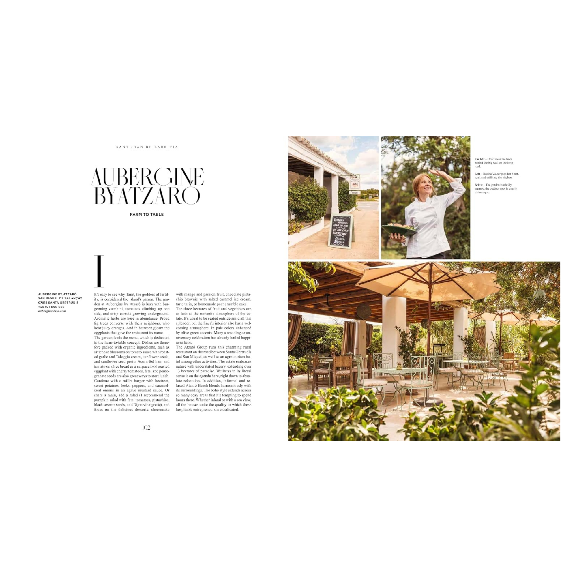 A Taste of Ibiza