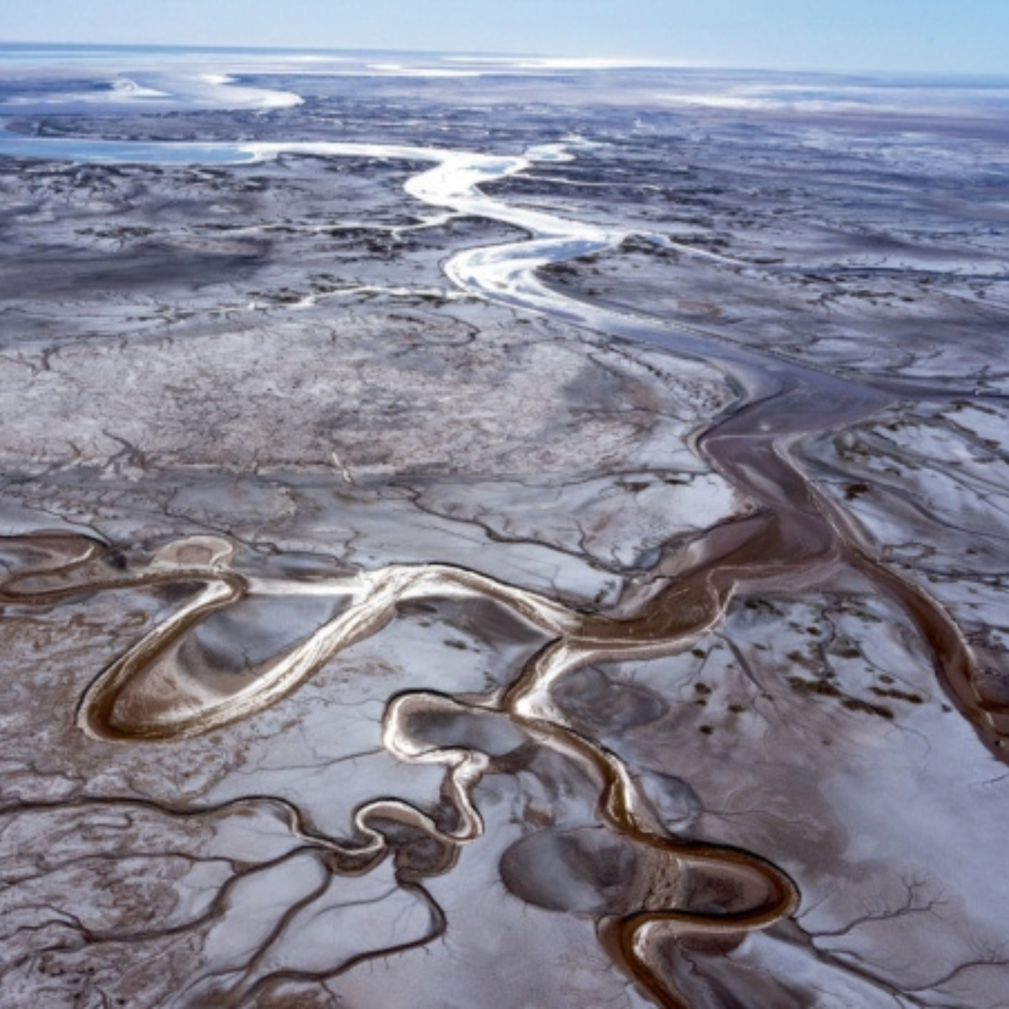 The Colorado River: Chasing Water