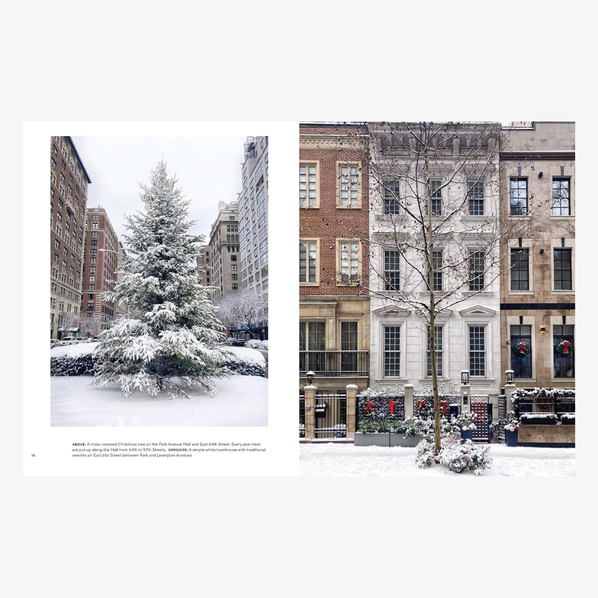 Walk With Me New York: Holiday