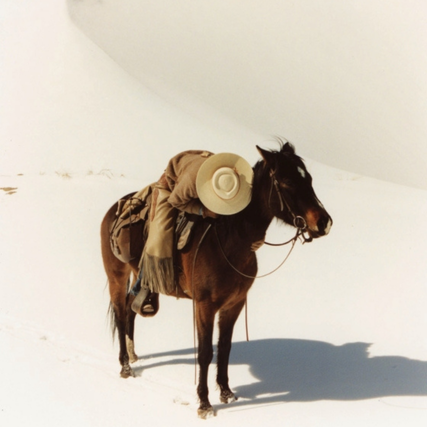 Ranchlands: By the Land, For the Land