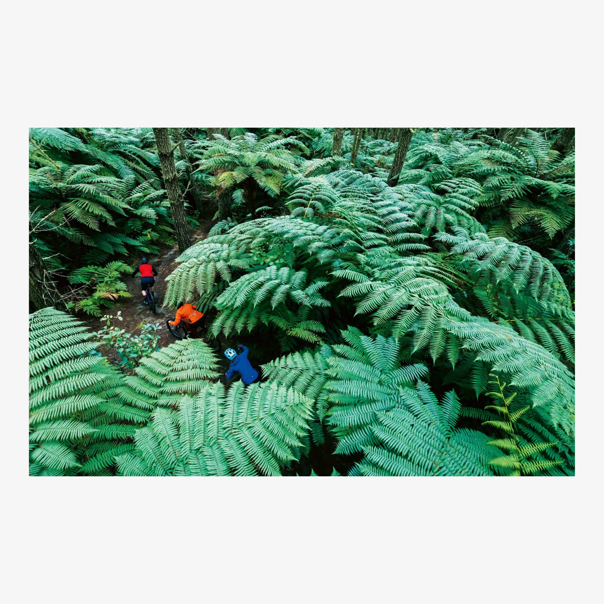 Eden: A Portrait of Mountain Biking in Aotearoa New Zealand