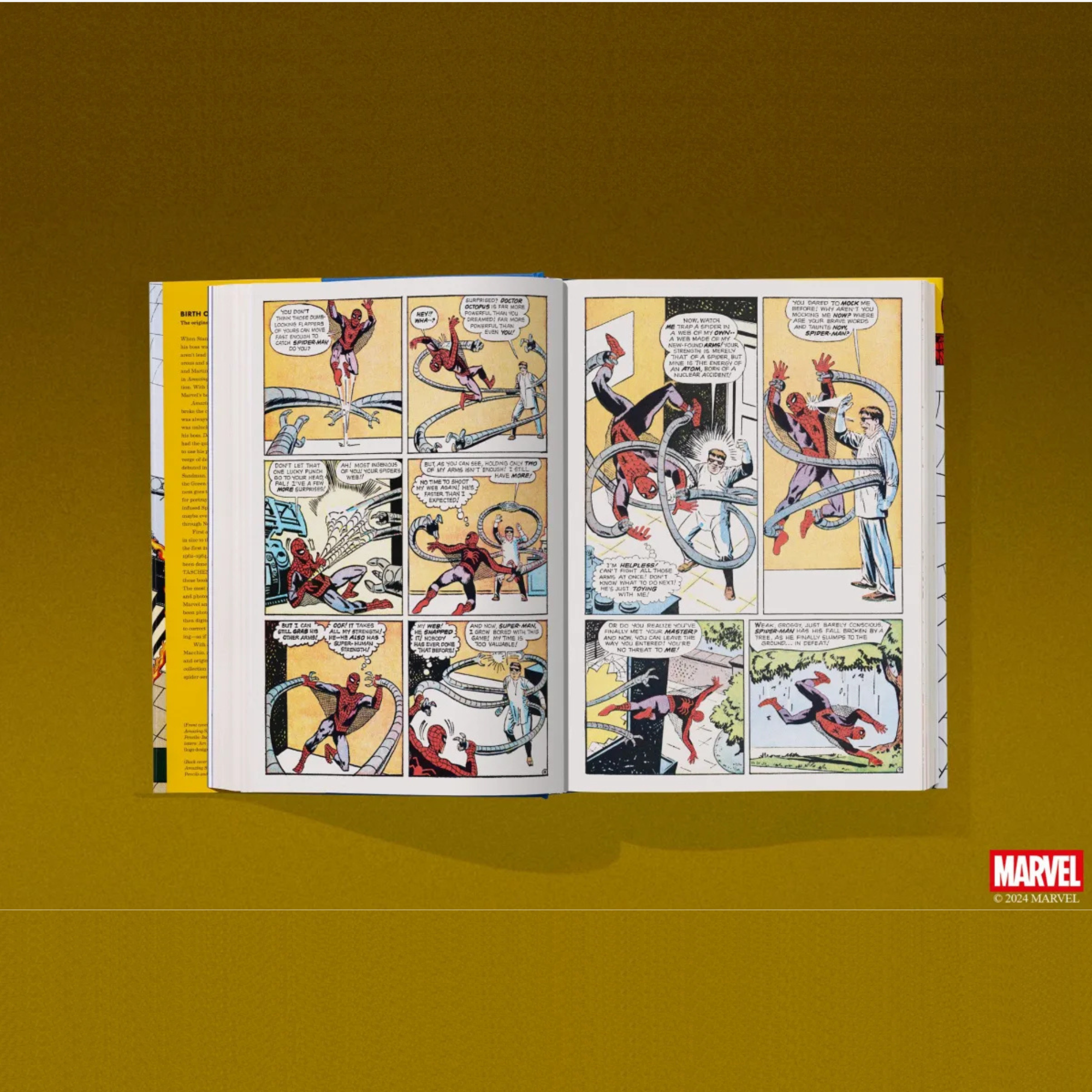 Marvel Comics Library. Spider Man. 1962-1964