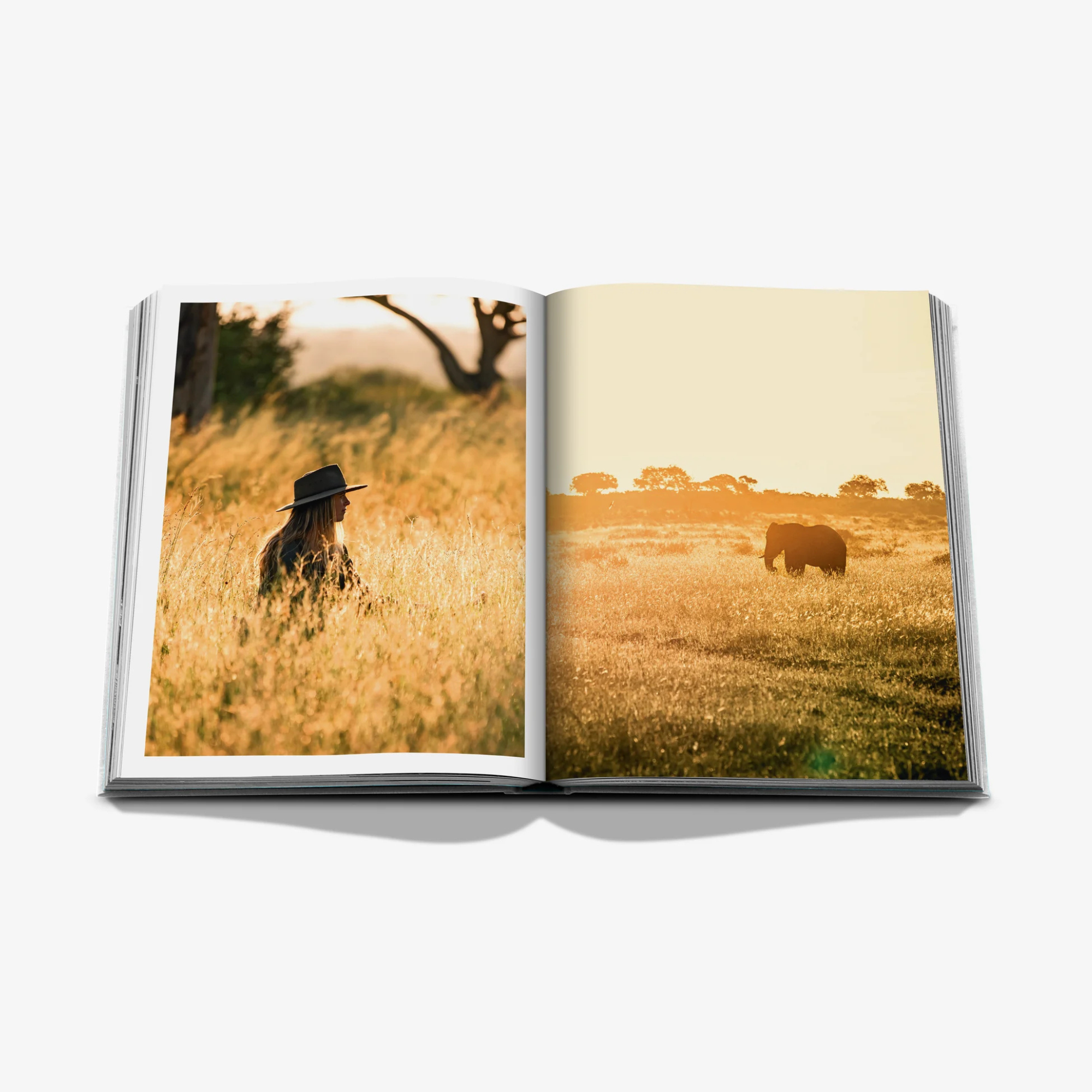 Londolozi: The Safari That Changed Everything