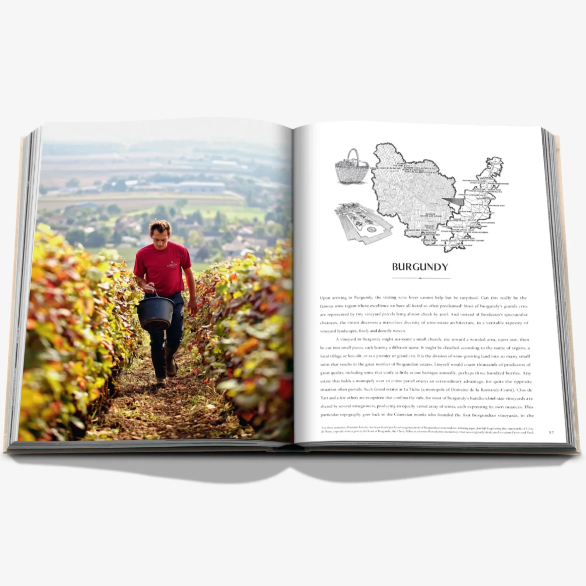 Wine & Travel Complete Collection Gift Set