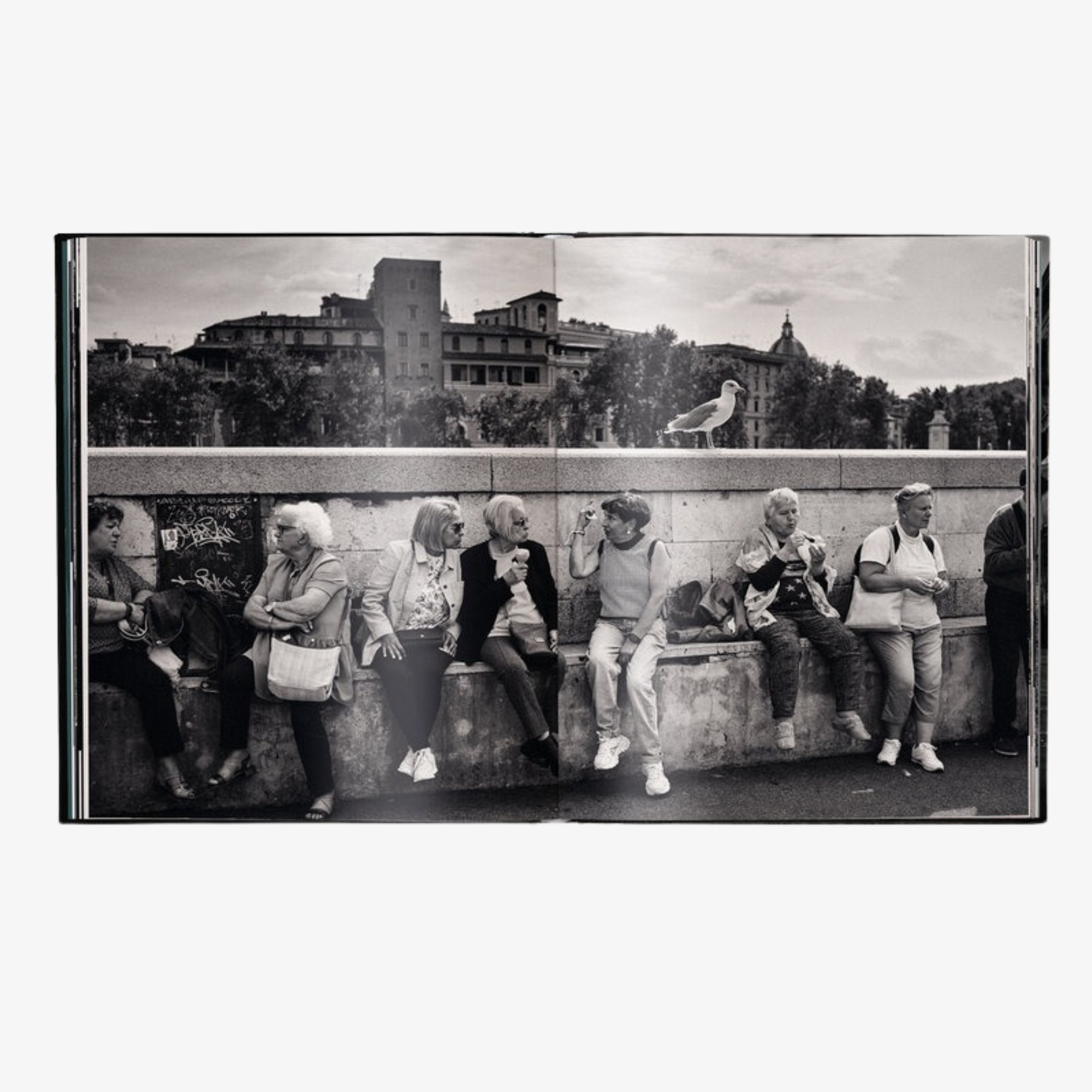 Phil Penman Street Scences