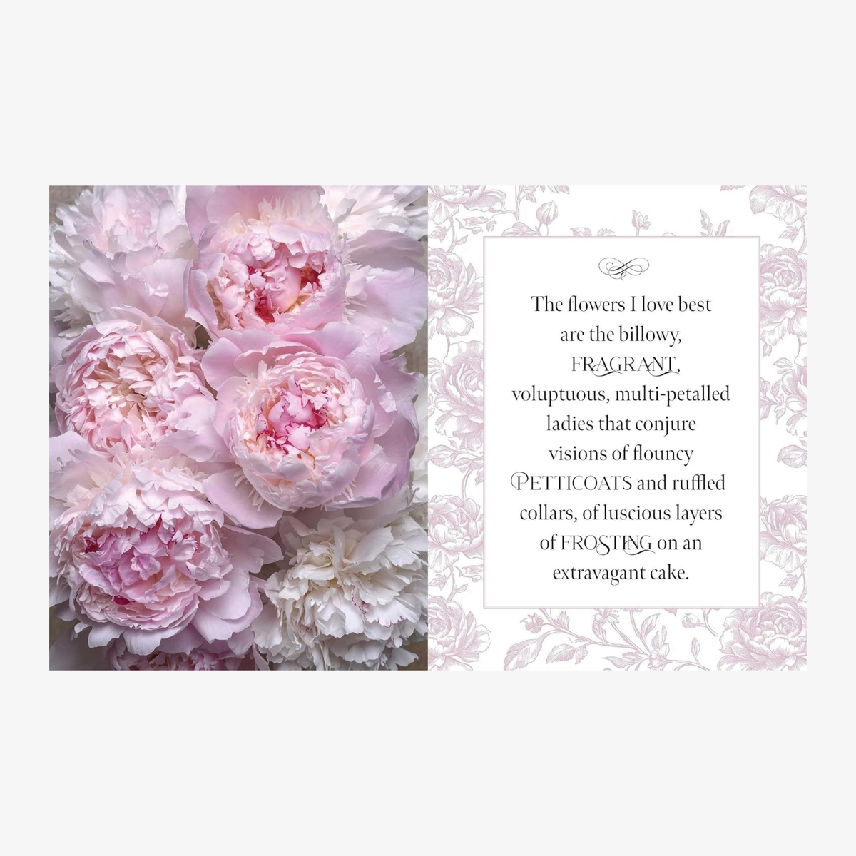 Beautiful Blooms: A Photographic Celebration