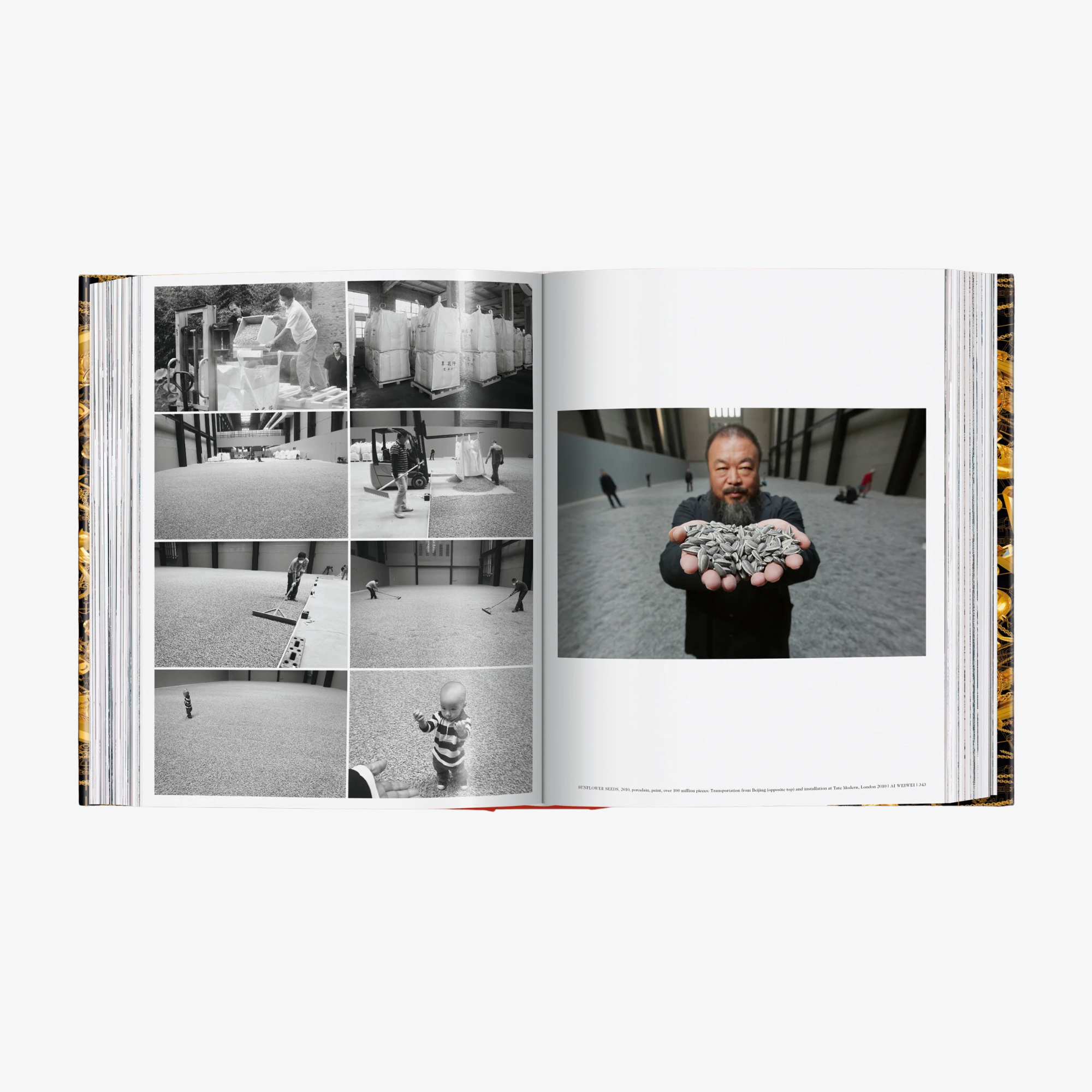 Ai Weiwei. Updated Edition