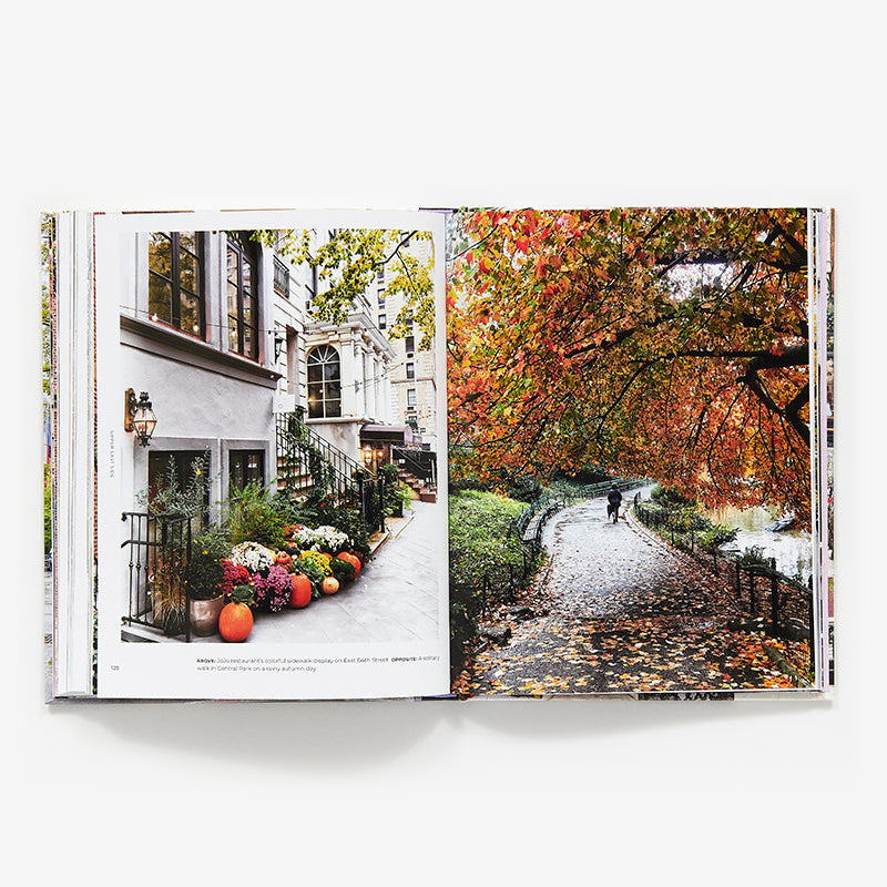 Walk With Me: New York