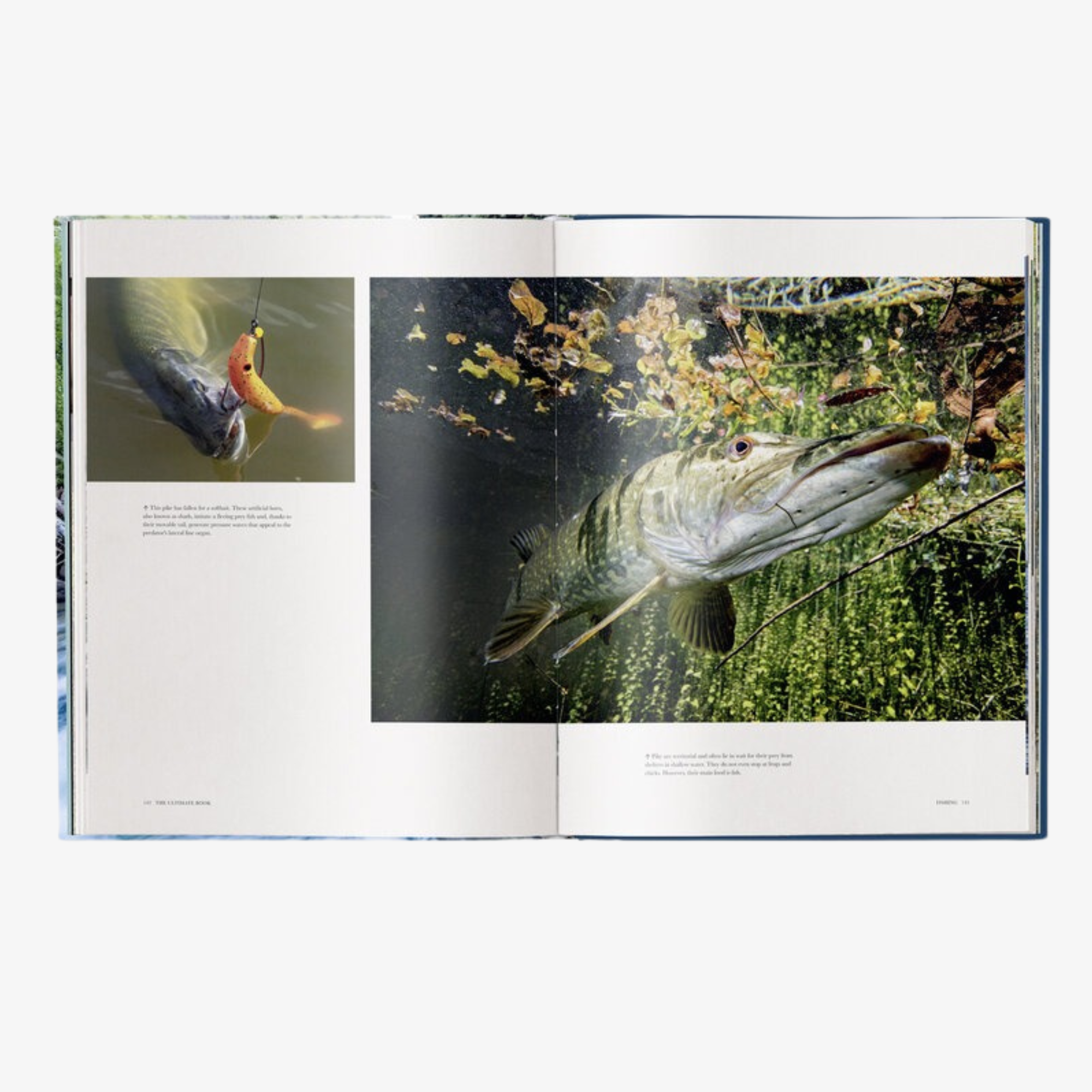 Fishing - The Ultimate Book
