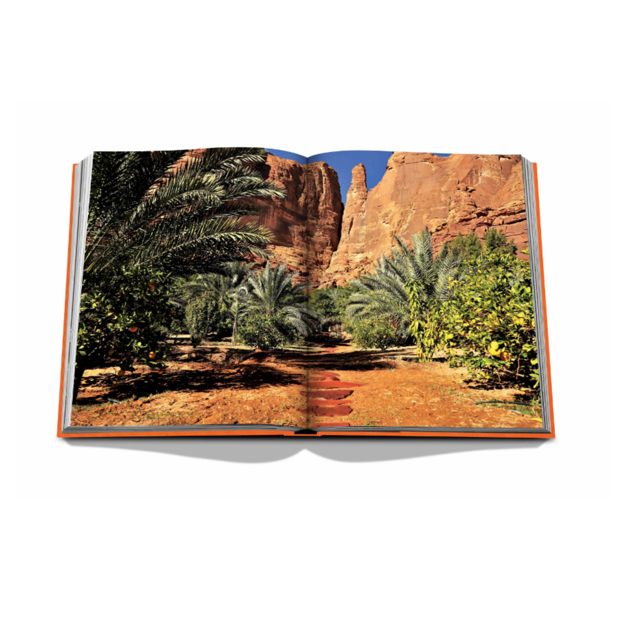 Alula Ever Book