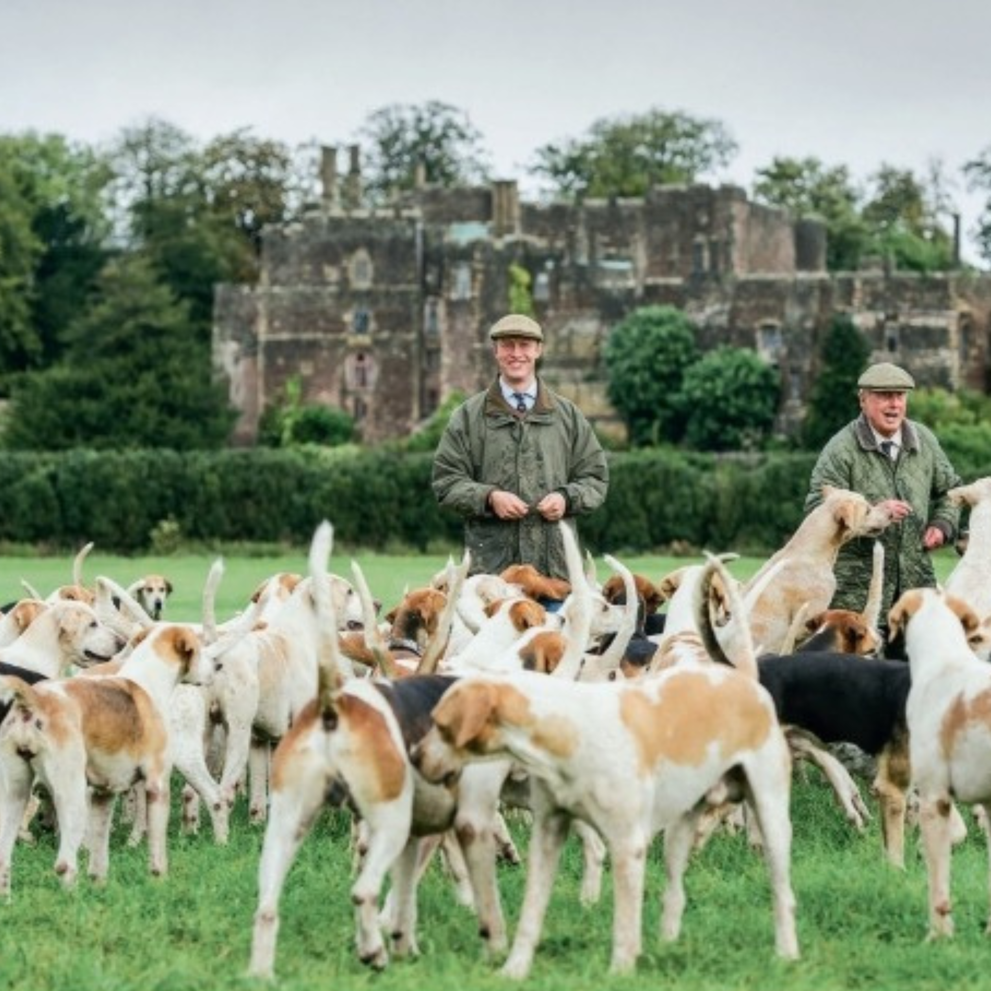 Country Life's Book of Dogs