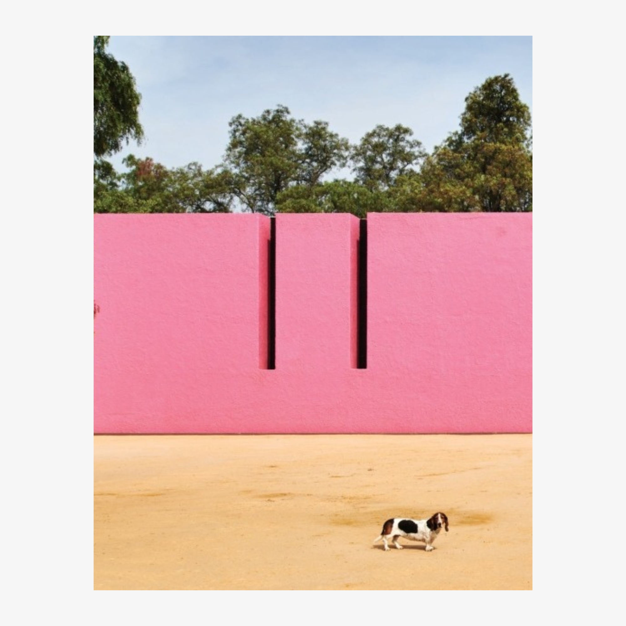 Mexico Modern: Architecture and Interiors