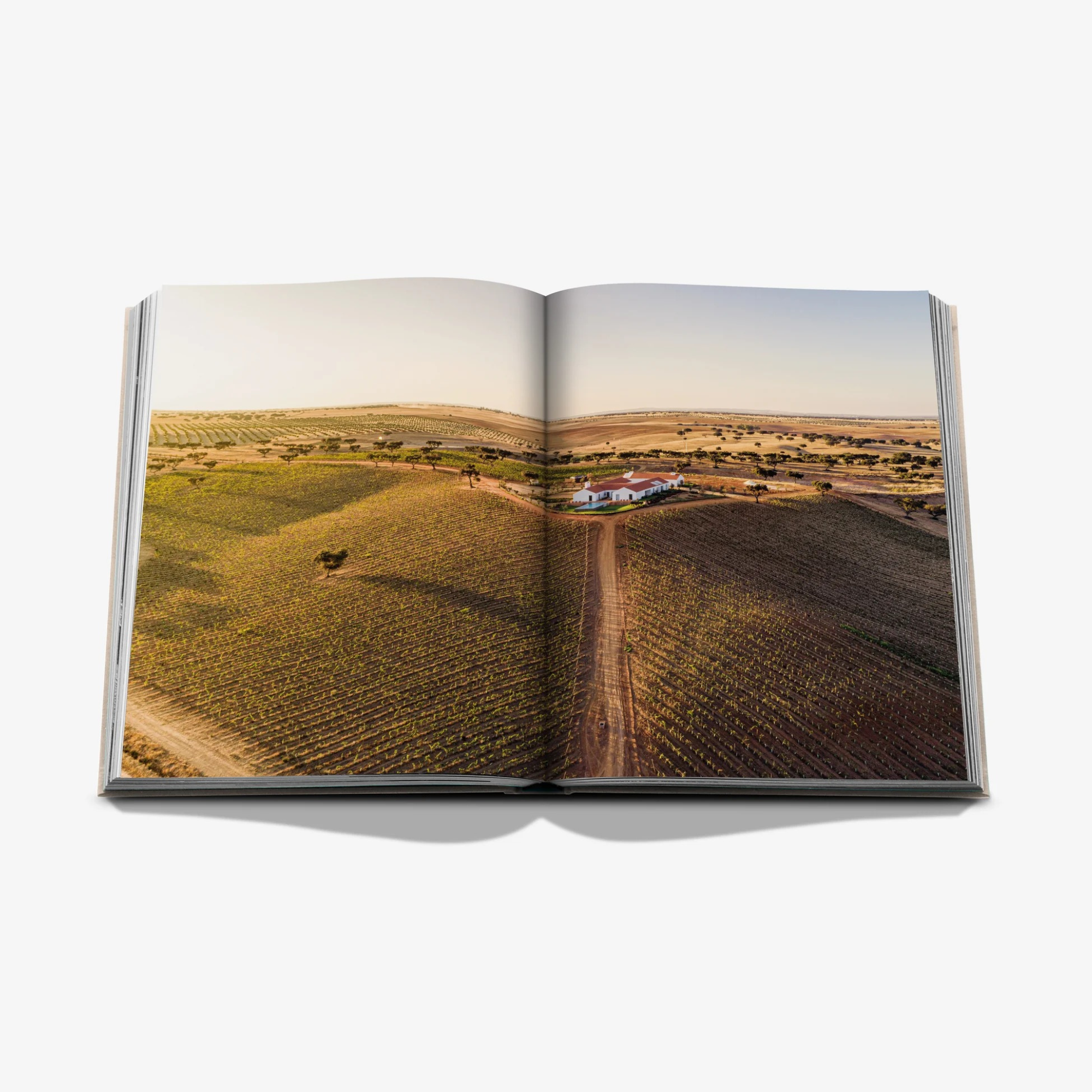 Malhadinha: The Soul of Alentejo