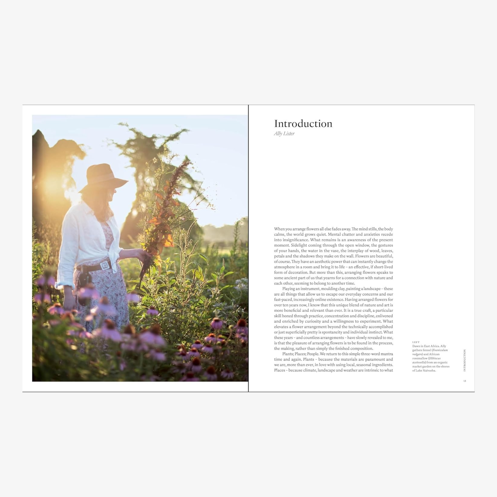 Naturalistic Flowers: A Year of Plants, Places, and People