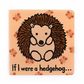 Bashful Hedgehog & If I Were A Hedgehog Book
