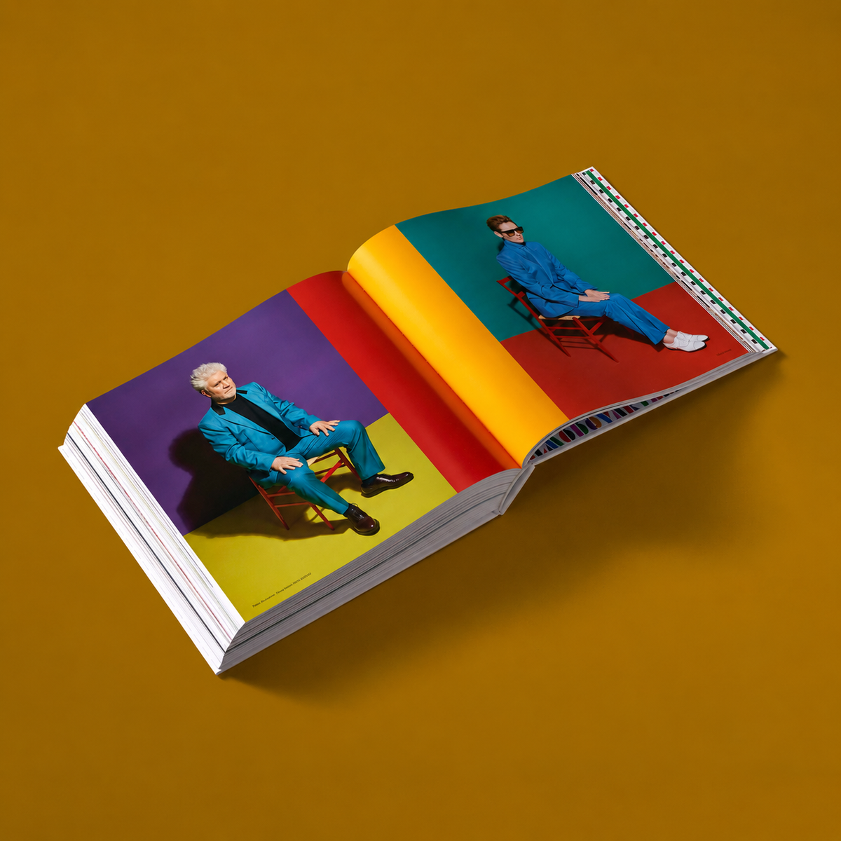 Almodóvar Art: The Art in the Films of Pedro Almodóvar