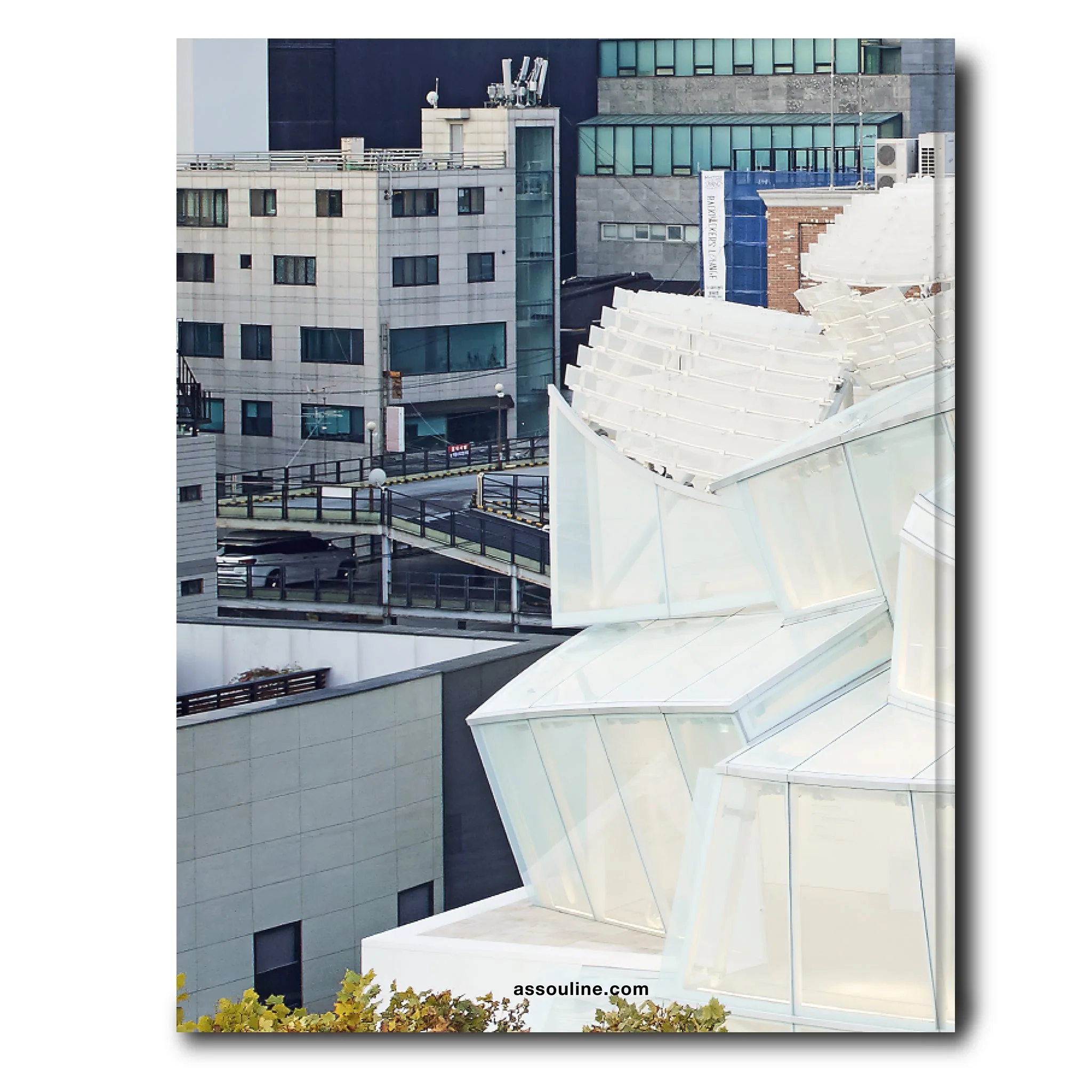 Louis Vuitton Skin: Architecture of Luxury (Seoul Edition) by Paul  Goldberger - Coffee Table Book