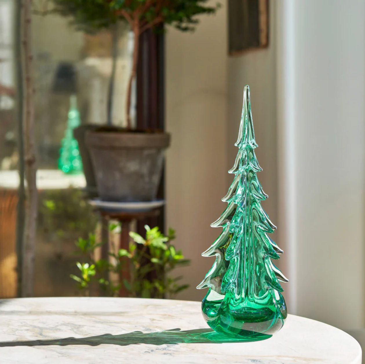 Green Mountain Evergreen - 10"