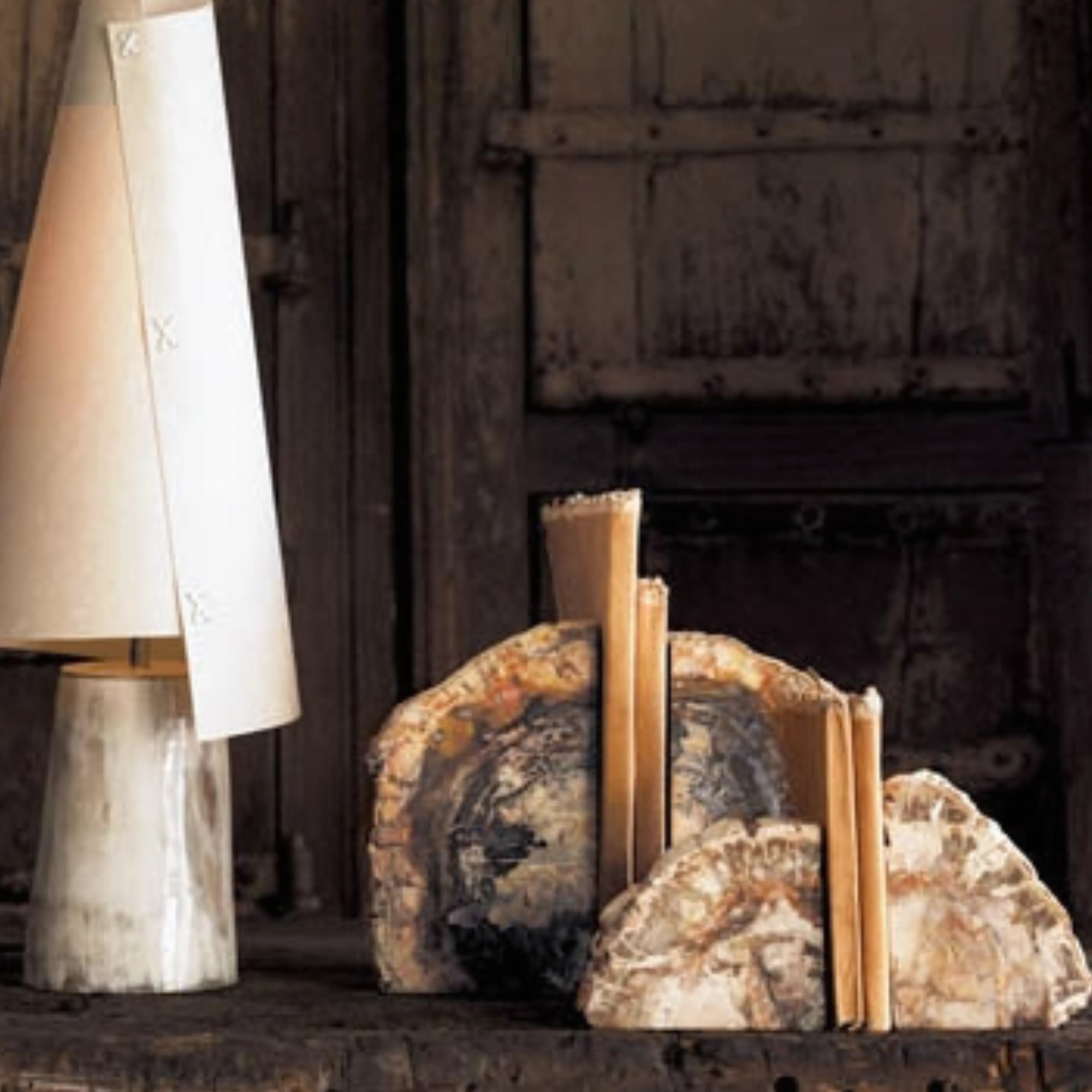 Small Petrified Wood Bookends