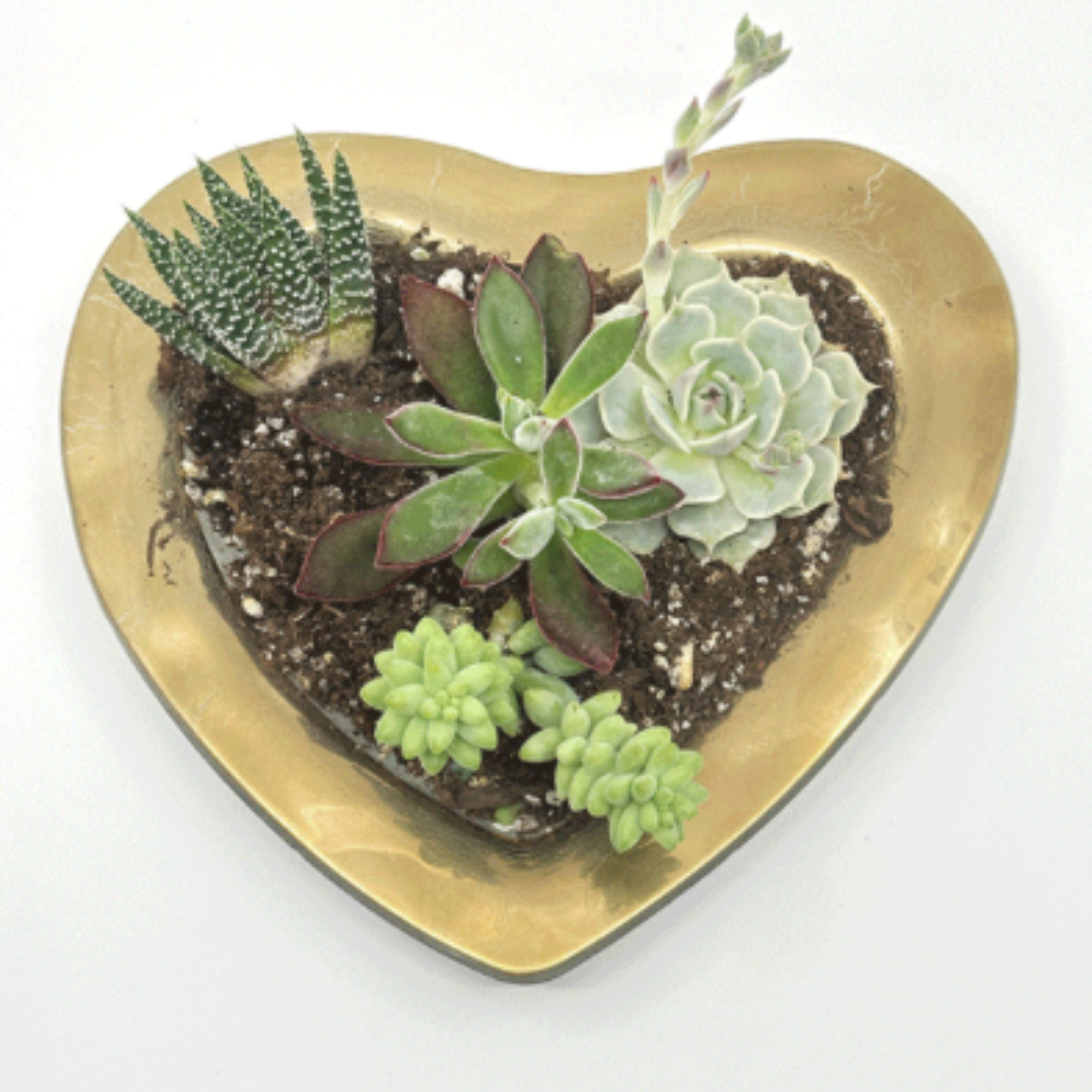 Heart Medium Bowl