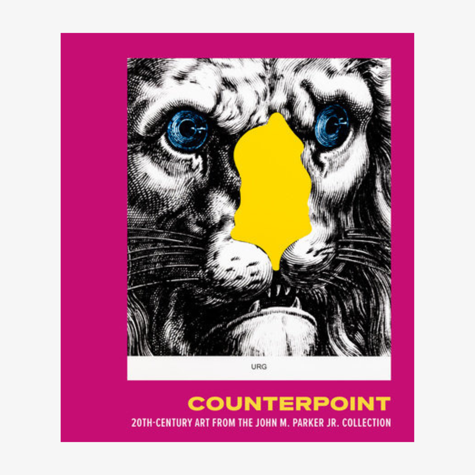 Counterpoint: 20th-Century Art from the John M. Parker Jr. Collection