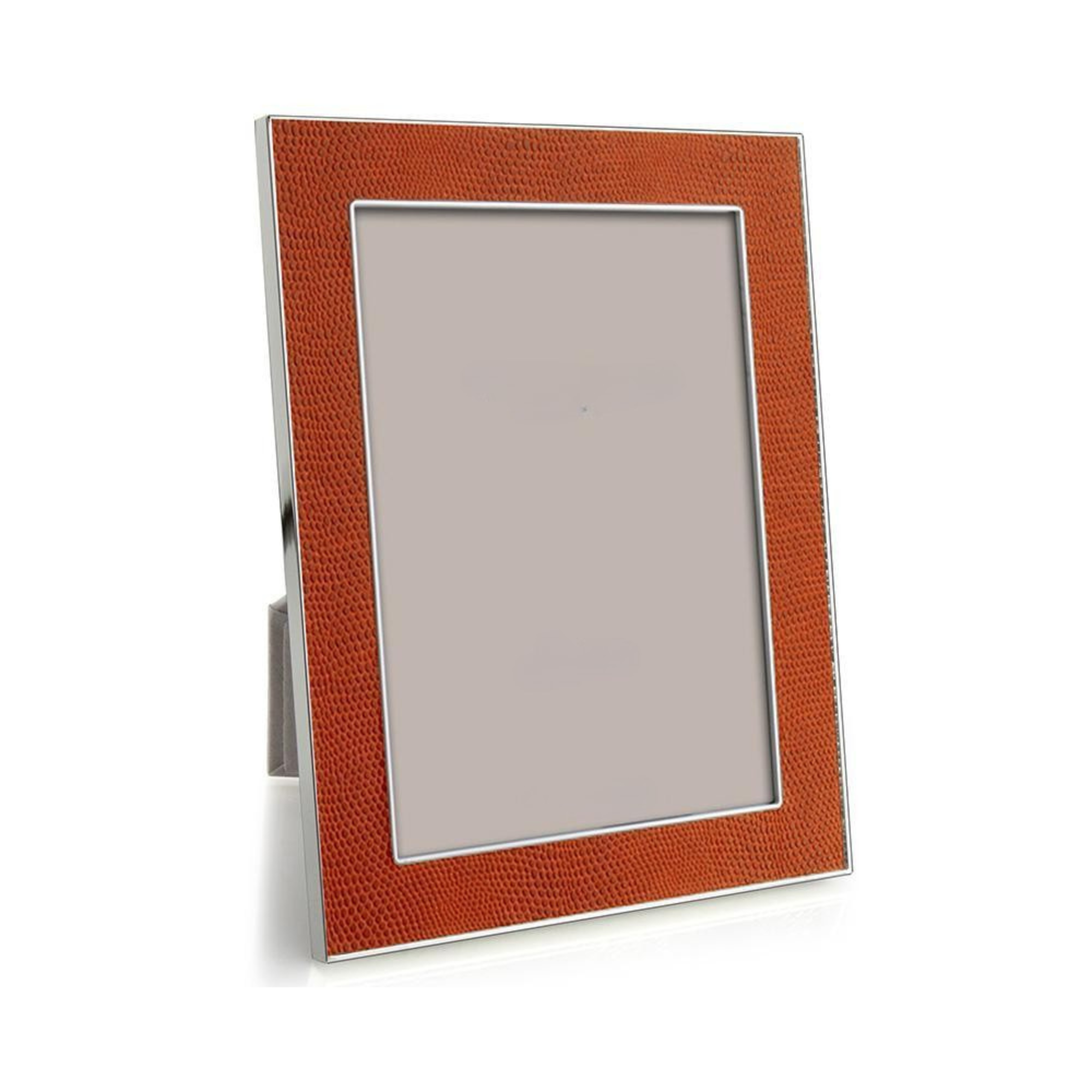 Orange Snake & Silver Frame