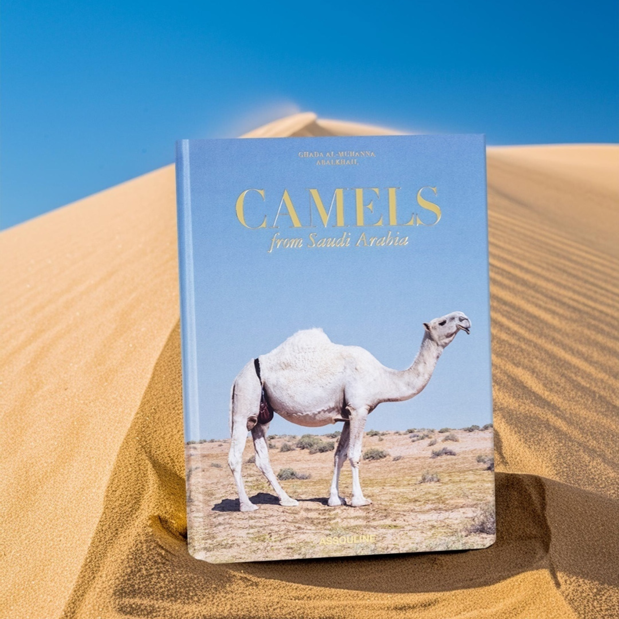 Camels from Saudi Arabia: Kingdom of Saudi Arabia Series, Ultimate Edition