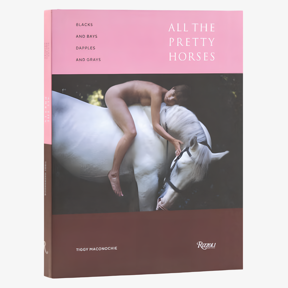 Blacks and Bays, Dapples and Greys: All the Pretty Horses in Art and Photography