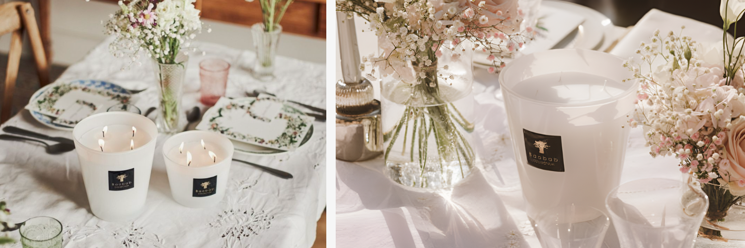 Link to Baobab Collection Collection