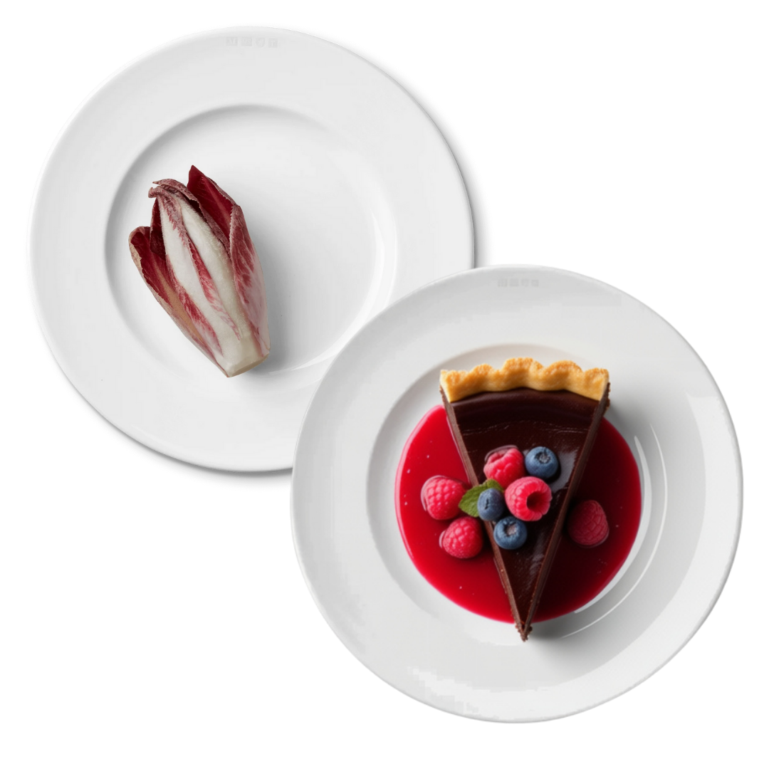 1508 Salad/Dessert Plate, 8.5" D. - Set of 4