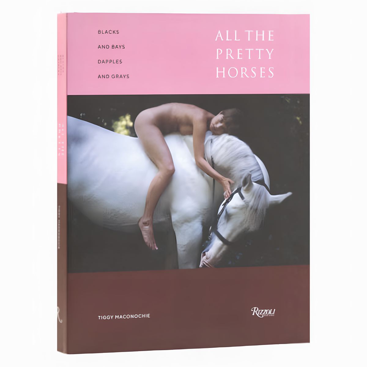 Blacks and Bays, Dapples and Greys: All the Pretty Horses in Art and Photography