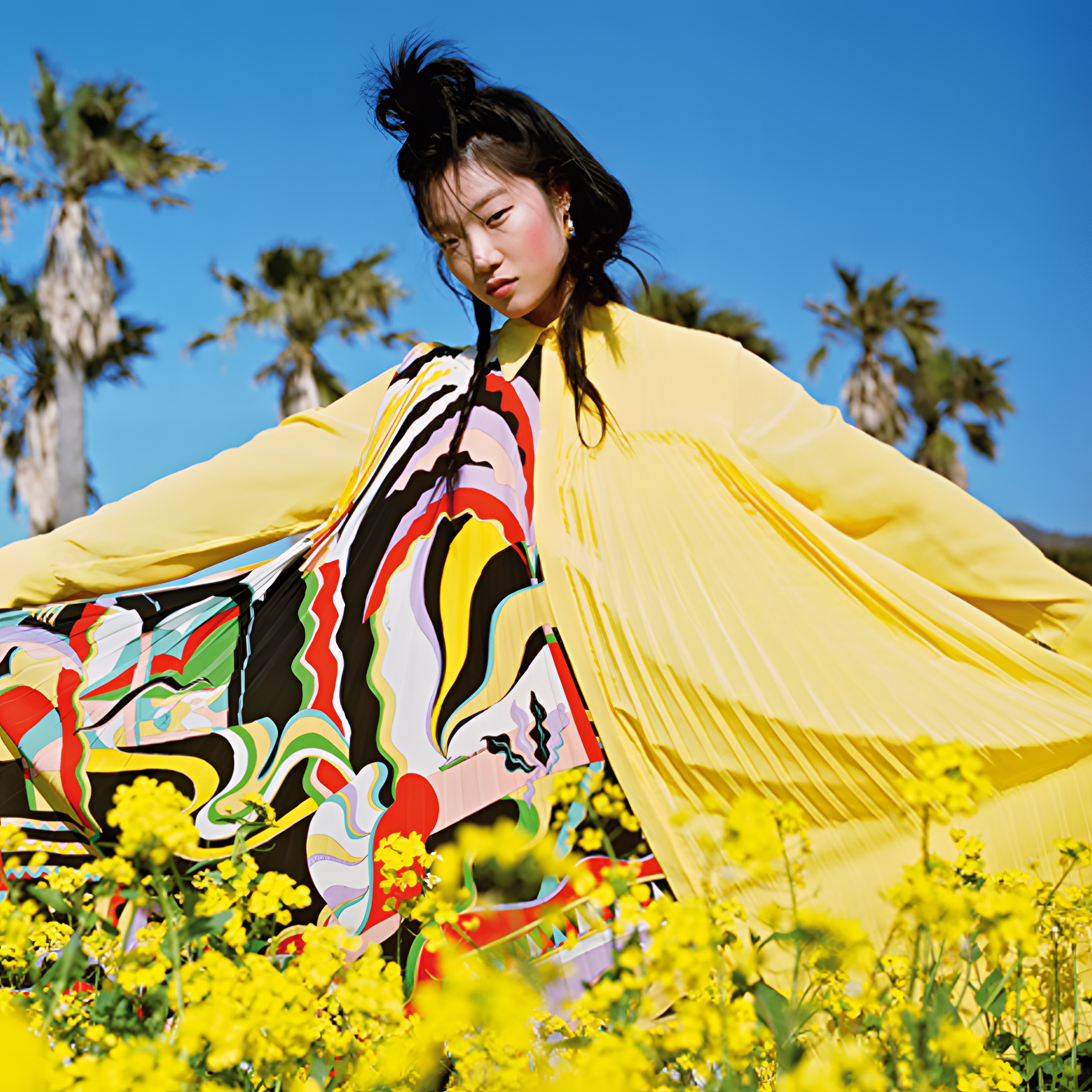 Pucci: The Art of Fashion