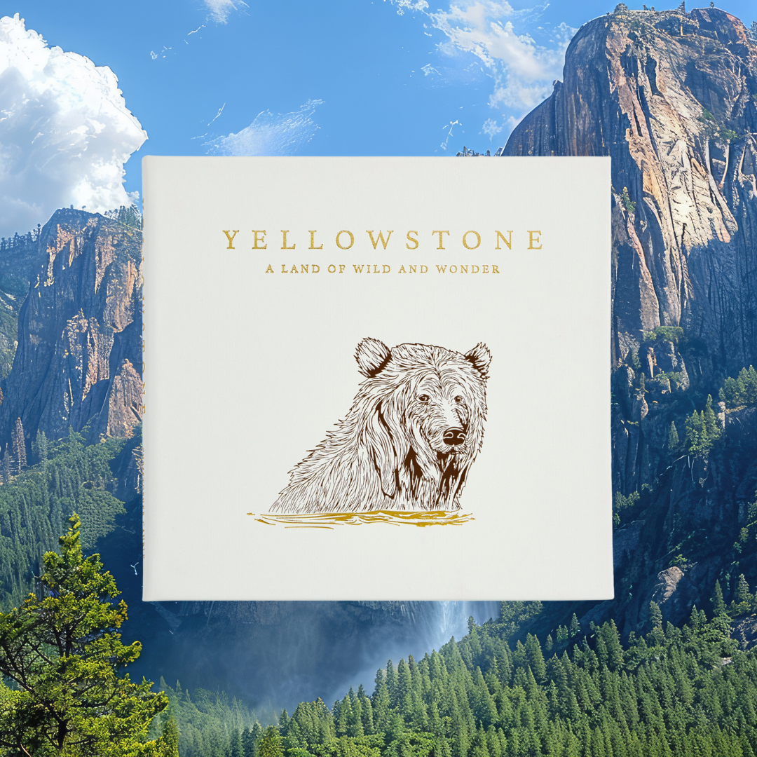 Yellowstone: A Land of Wild and Wonder