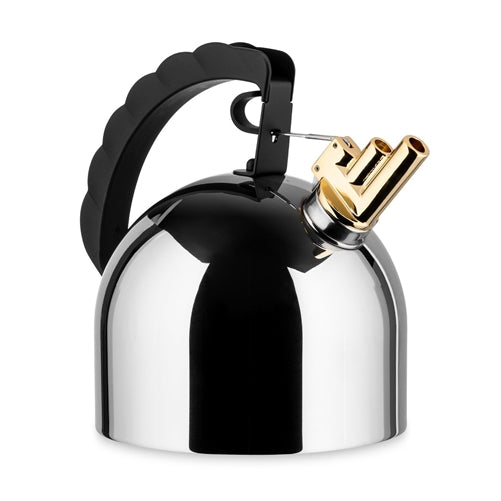 Kettle with Steel Bottom