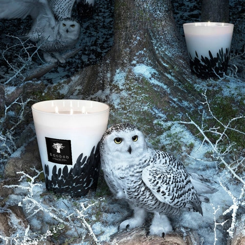 Feathers Black Scented Candle