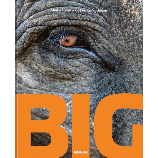 BIG: A Photographic Album of the World's Largest Animals