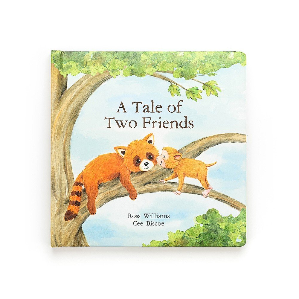 The Tale Of Two Friends Book