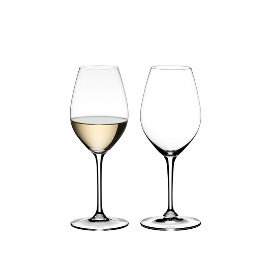 Friendly White Wine/Champagne Glass (Set of 4)