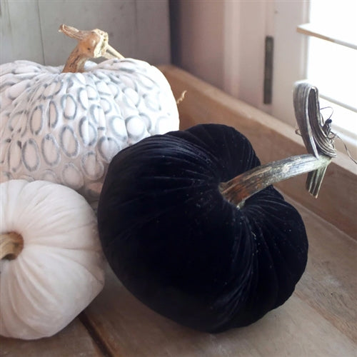 Noir Plush Pumpkin