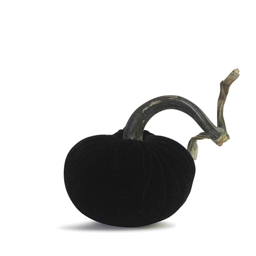 Noir Plush Pumpkin