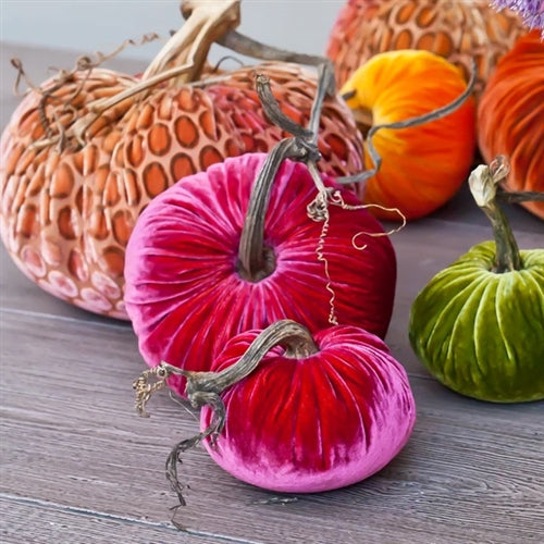 Coral Pumpkin