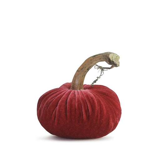 Coral Pumpkin