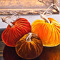Plush Pumpkin Harvest Pumpkin