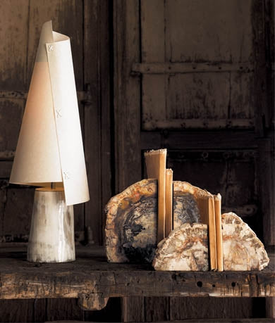 Small Petrified Wood Bookends