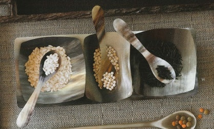 Horn Condiment Bowls S/3 with spoons and Tray