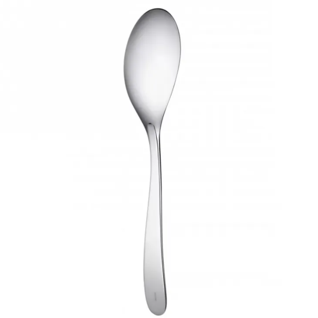 Stainless Steel Serving Spoon